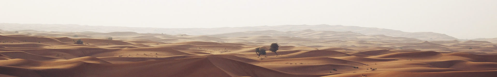 ֣ϢƼ޹˾